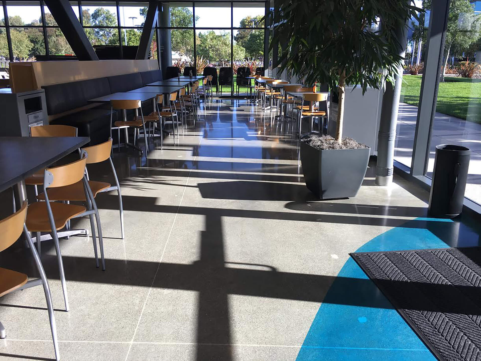 Polished concrete floors with high-gloss finish in a bright Napa commercial dining space with modern furnishings